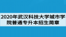 2020年武漢科技大學(xué)城市學(xué)院普通專升本招生簡章