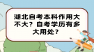 湖北自考本科作用大不大？自考學(xué)歷有多大用處？