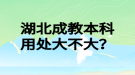 湖北成教本科用處大不大？