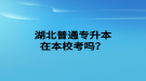 湖北普通專升本在本校考嗎？