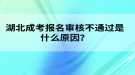 湖北成考報(bào)名審核不通過(guò)是什么原因？