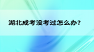 湖北成考沒(méi)考過(guò)怎么辦？