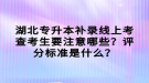 湖北專升本補(bǔ)錄線上考查考生要注意哪些？評(píng)分標(biāo)準(zhǔn)是什么？