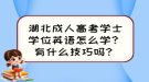 湖北成人高考學(xué)士學(xué)位英語怎么學(xué)？有什么技巧嗎？