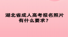 湖北省成人高考報名照片有什么要求？