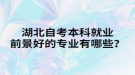 湖北自考本科就業(yè)前景好的專業(yè)有哪些？