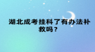 湖北成考掛科了有辦法補(bǔ)救嗎？