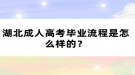 湖北成人高考畢業(yè)流程是怎么樣的？