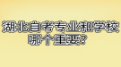 湖北自考專業(yè)和學(xué)校哪個(gè)重要？