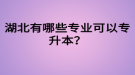 湖北有哪些專業(yè)可以專升本？