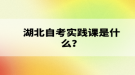 湖北自考實踐課是什么？