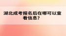 湖北成考報(bào)名后在哪可以查看信息？