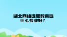 湖北網(wǎng)絡遠程教育選什么專業(yè)好？