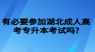 有必要參加湖北成人高考專升本考試嗎?