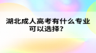 湖北成人高考有什么專業(yè)可以選擇？