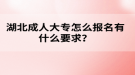 湖北成人高考大專怎么報(bào)名有什么要求？