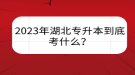 2023年湖北專升本到底考什么？