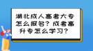 湖北成人高考大專怎么報名？成考高升專怎么學習？