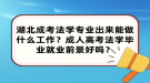 湖北成考法學(xué)專業(yè)出來能做什么工作？成人高考法學(xué)畢業(yè)就業(yè)前景好嗎？