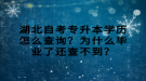 湖北自考專升本學(xué)歷怎么查詢？為什么畢業(yè)了還查不到？