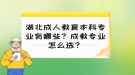 湖北成人教育本科專業(yè)有哪些？成教專業(yè)怎么選？