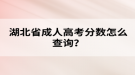 湖北省成人高考分?jǐn)?shù)怎么查詢？