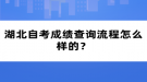 湖北自考成績查詢流程怎么樣的？