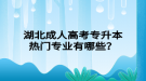 湖北成人高考專升本熱門專業(yè)有哪些？