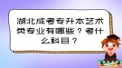 湖北成考專升本藝術(shù)類專業(yè)有哪些？考什么科目？