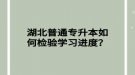 湖北普通專升本如何檢驗學習進度？