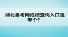 湖北自考網(wǎng)成績查詢?nèi)肟谑悄膫€？