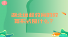 湖北遠(yuǎn)程教育的教育形式是什么？