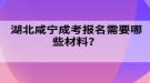 湖北咸寧成考報名需要哪些材料？