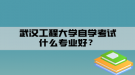 武漢工程大學自學考試什么專業(yè)好？