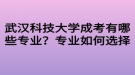 武漢科技大學成考有哪些專業(yè)？專業(yè)如何選擇