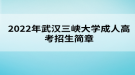 2022年三峽大學成人高考招生簡章