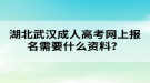 湖北武漢成人高考網(wǎng)上報名需要什么資料？