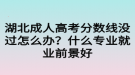 湖北成人高考分?jǐn)?shù)線沒(méi)過(guò)怎么辦？什么專業(yè)就業(yè)前景好