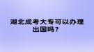 湖北成考大?？梢赞k理出國嗎？