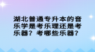 湖北普通專升本的音樂學(xué)是考樂理還是考樂器？考哪些樂器？