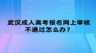 武漢成人高考報(bào)名網(wǎng)上審核不通過怎么辦？