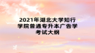 2021年湖北大學(xué)知行學(xué)院普通專升本廣告學(xué)考試大綱