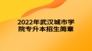 2022年武漢城市學(xué)院專升本招生簡(jiǎn)章