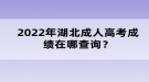 2022年成湖北成人高考績(jī)?cè)谀牟樵?xún)？