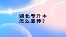 湖北專升本怎么宣傳？