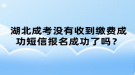 湖北成考沒有收到繳費成功短信報名成功了嗎？