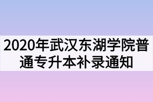 2020年武漢東湖學(xué)院普通專升本補錄通知