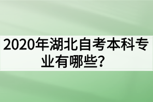 2020年湖北自考本科專業(yè)有哪些？哪些專業(yè)的就業(yè)前景好