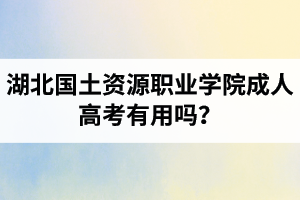 湖北國(guó)土資源職業(yè)學(xué)院成人高考有用嗎？學(xué)習(xí)采取的是什么方式？