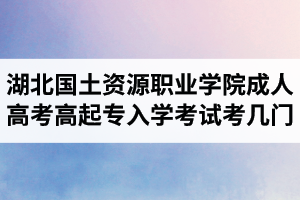 湖北國(guó)土資源職業(yè)學(xué)院成人高考高起專入學(xué)考試考幾門？